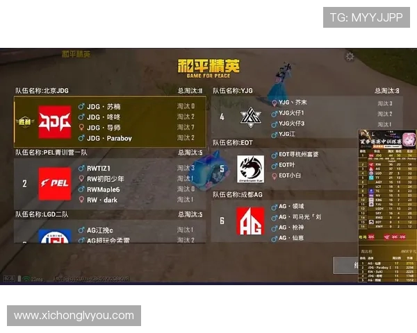 和平精英专题：深入解析JDG战队的实力与战术布局